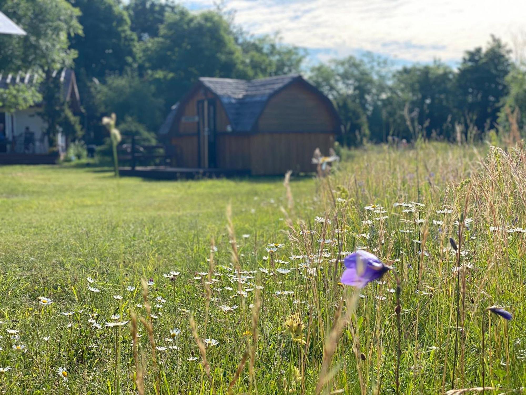 Kaespri Farmstay Koguva Exteriér fotografie