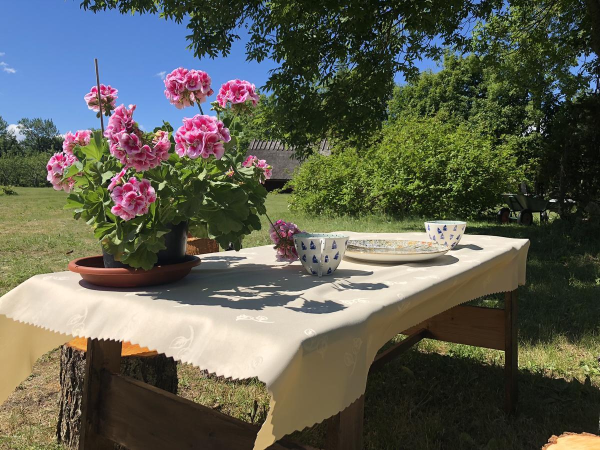 Kaespri Farmstay Koguva Exteriér fotografie